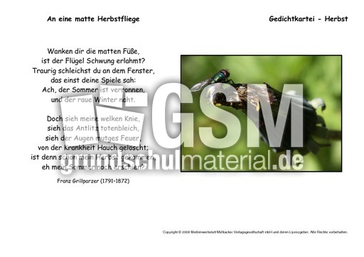 An-eine-matte-Herbstfliege-Grillparzer.pdf